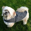 Quilted Dog Coat Pattern (3 sizes)