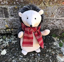 Load image into Gallery viewer, Harry the Hedgehog doorstop pattern